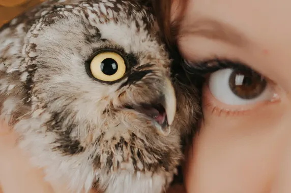 ВегасУайлд Казино Поддръжка